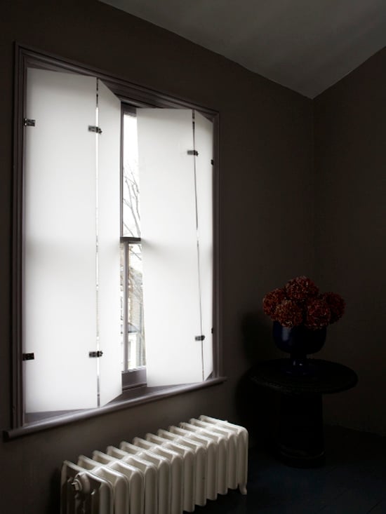 Perspex blinds
