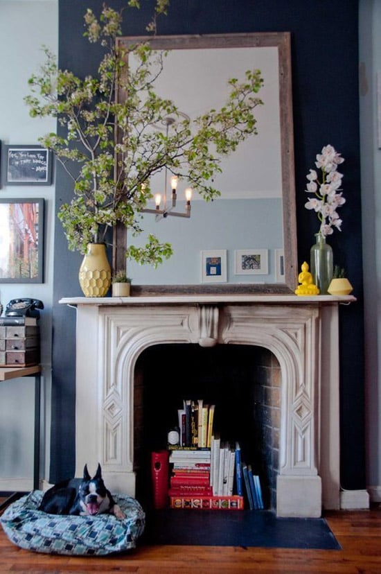 best indoor plants