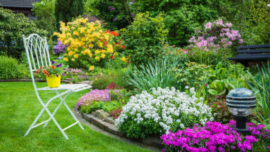 Garden with blooming flowerbeds and decorative garden chair