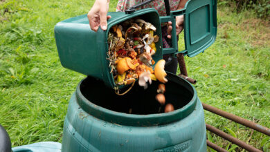 Compost bin