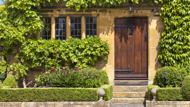 Picture of a frant garden with plants and hedges