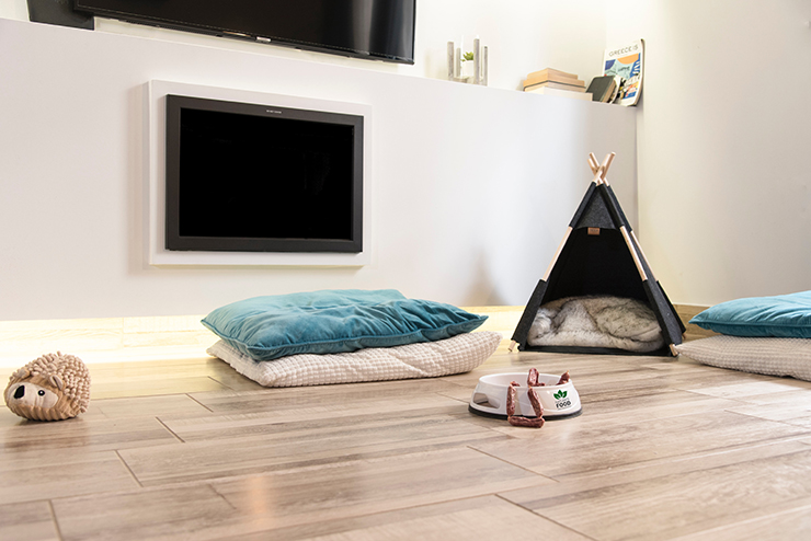 Picture of a living room with a doggy bed and pillows