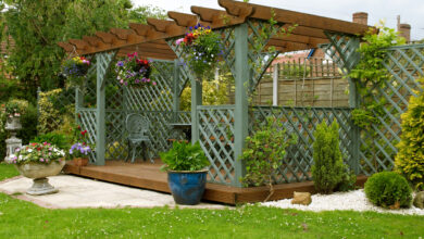 Picture of a garden pergola with plants