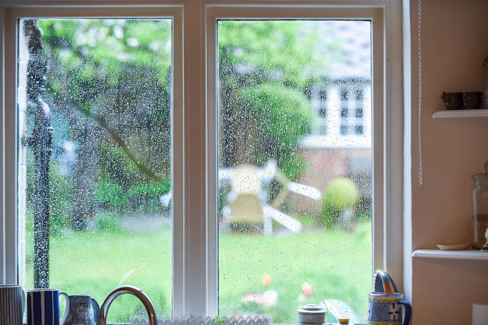 Picture of a garden seen through a window with rain on it