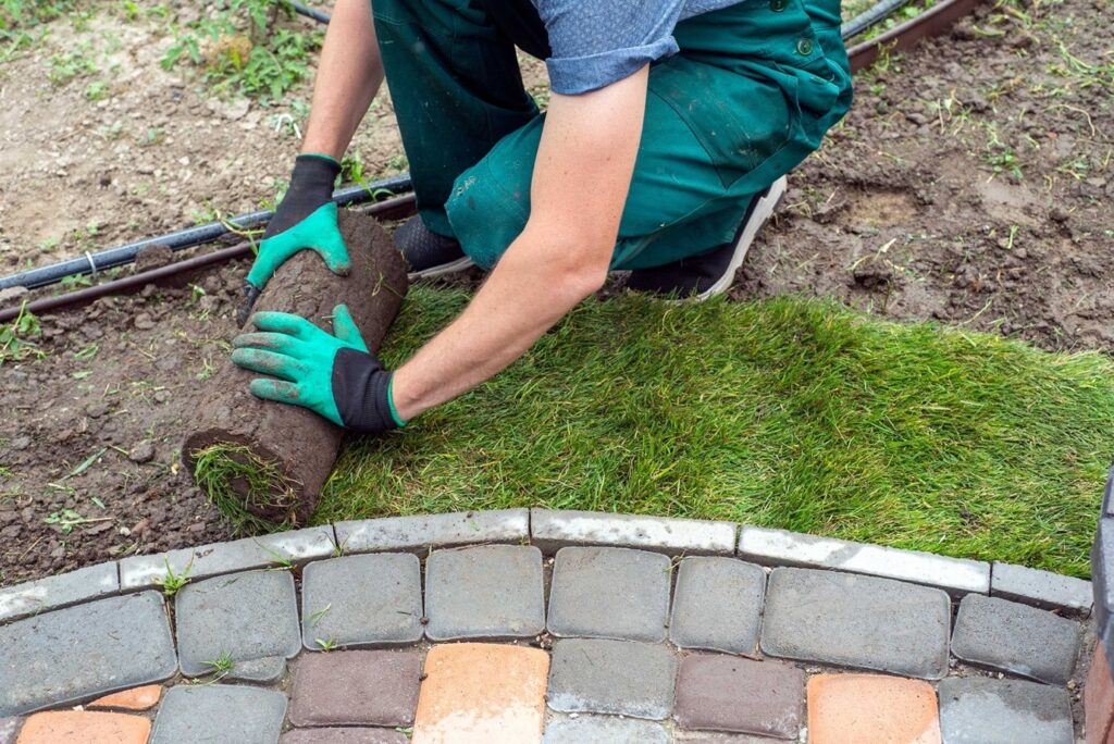 Picture of a garden landscaping specialist installing a roll of grass in a garden