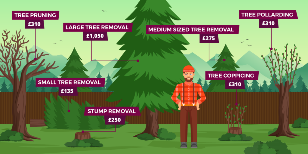 Illustration of a garden with a range of trees and a tree surgeon, with tree surgery labour costs labelled