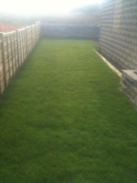 Wilkinson Interiors & Gardens gallery image 2