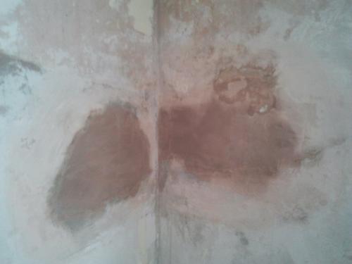W BROWN PLASTERER gallery image 2
