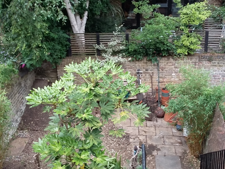 The Angel of Your Garden gallery image 2