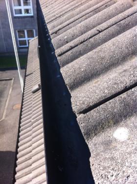 Active Roofing & Building Services gallery image 4