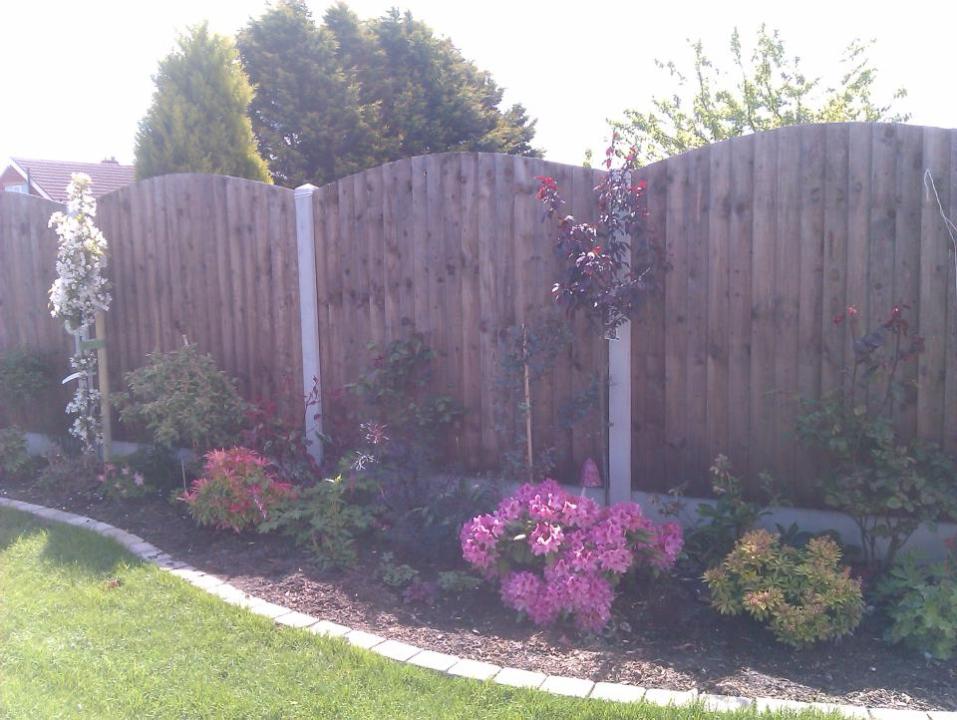 acornfencing gallery image 3