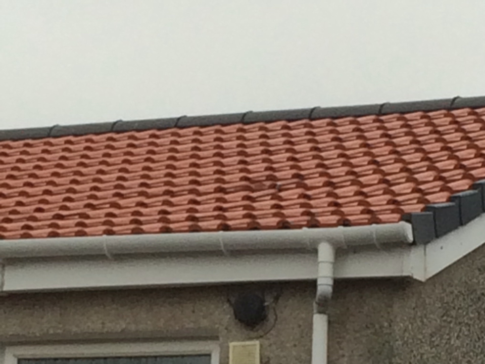 bildon roofing gallery image 3