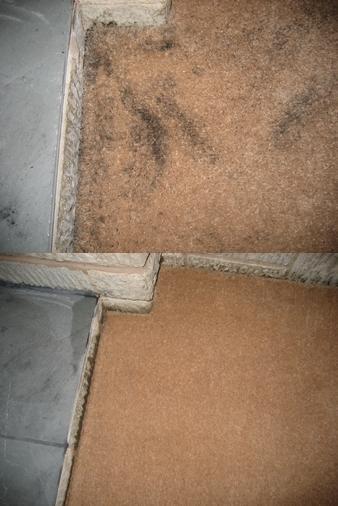 Kestrel Cleaning Services gallery image 4