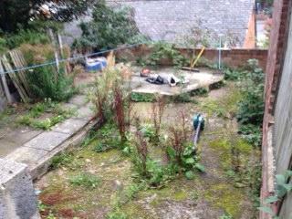 A.m garden services gallery image 2