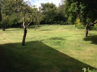 A.m garden services gallery image 4