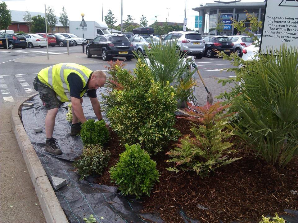 Gardencare gallery image 2