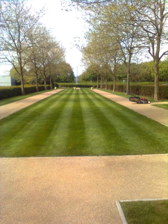 Gardencare gallery image 4