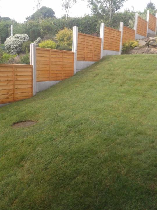 green acre tree care gallery image 3