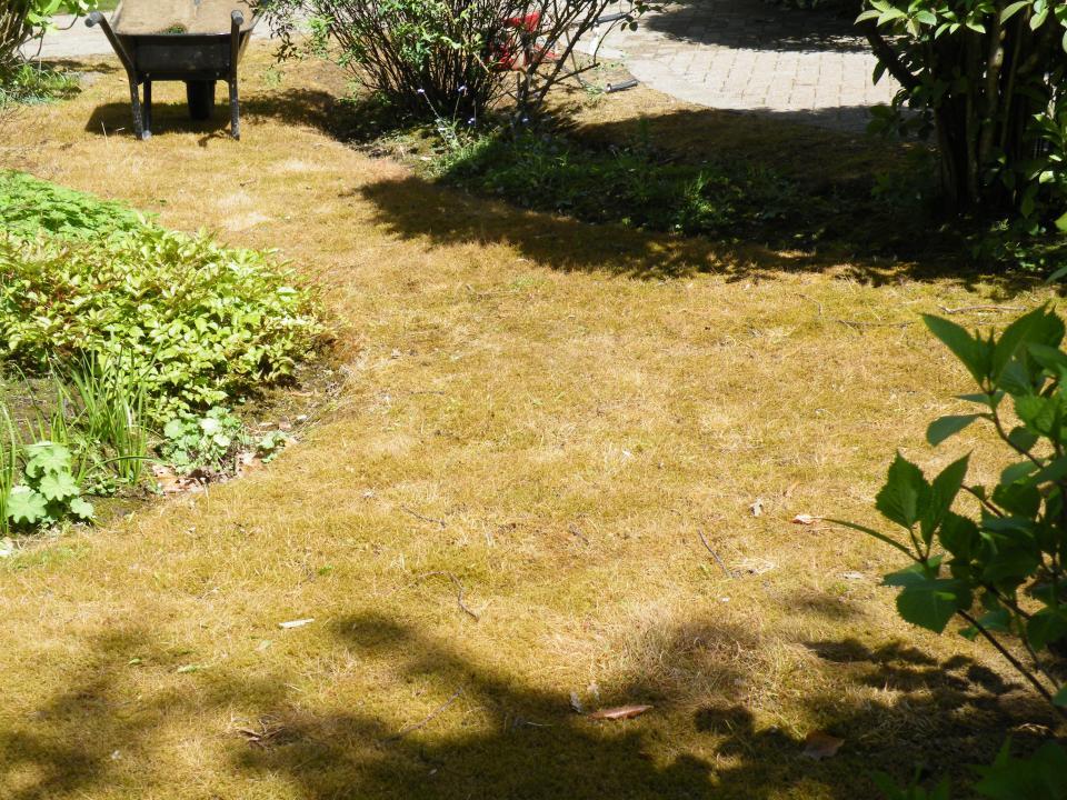 cj garden services gallery image 2