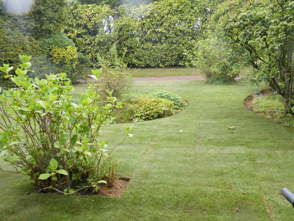 cj garden services gallery image 3