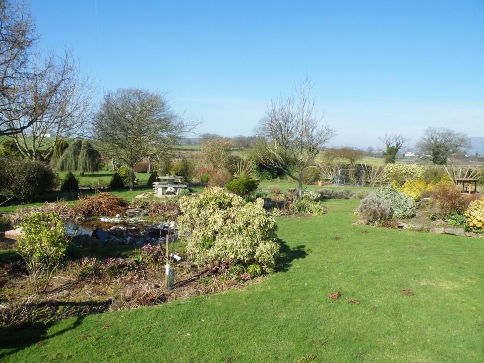 cj garden services gallery image 4