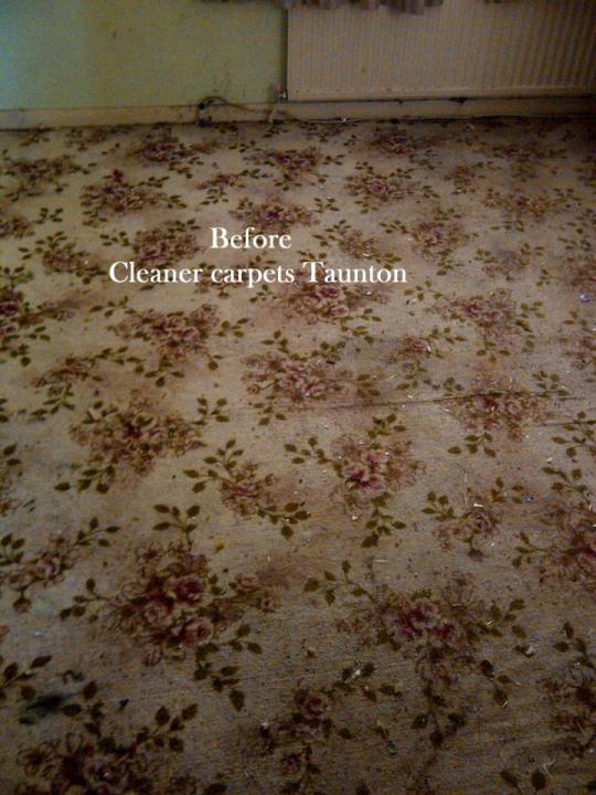 Cleaner carpets Taunton gallery image 2