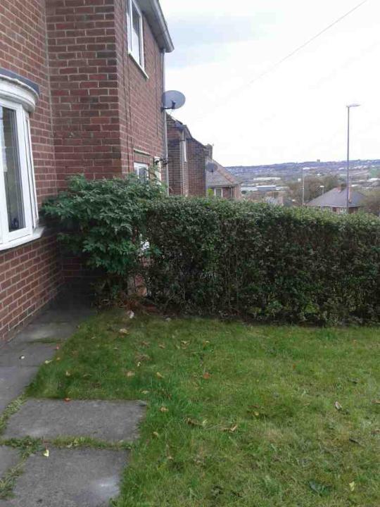 A Cut Above Tree & Landscaping gallery image 2