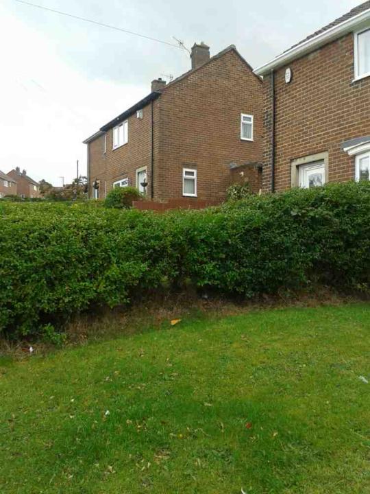 A Cut Above Tree & Landscaping gallery image 3