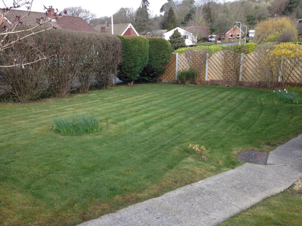 Jonathan Orr Garden Services gallery image 1