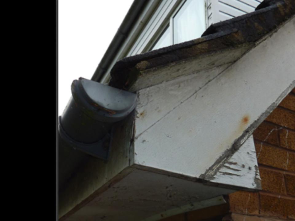 Roof check gallery image 1