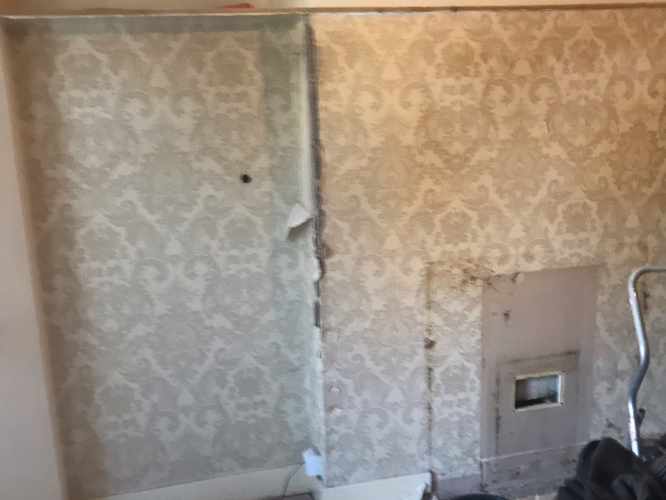 The Complete Painters & Decorators gallery image 3