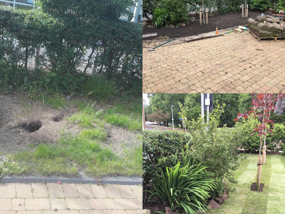 R.C.G. LANDSCAPING gallery image 3