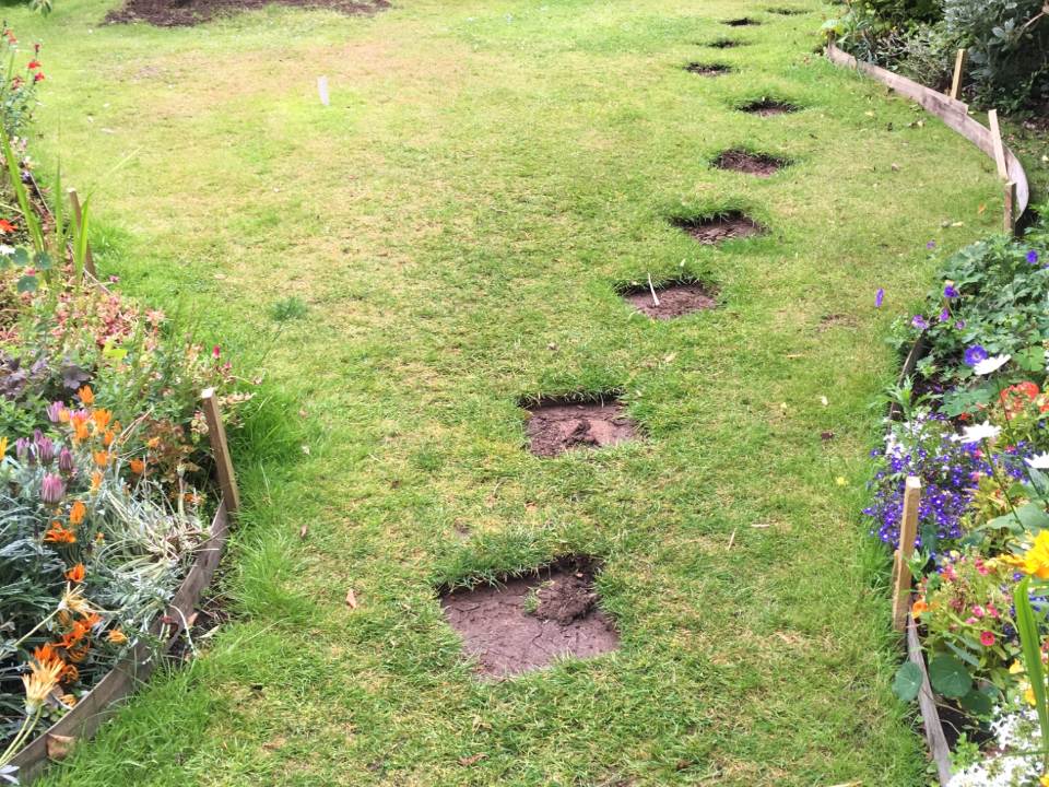 R.C.G. LANDSCAPING gallery image 4