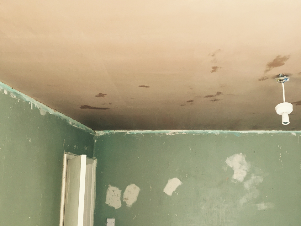 Skim Line Plastering gallery image 2