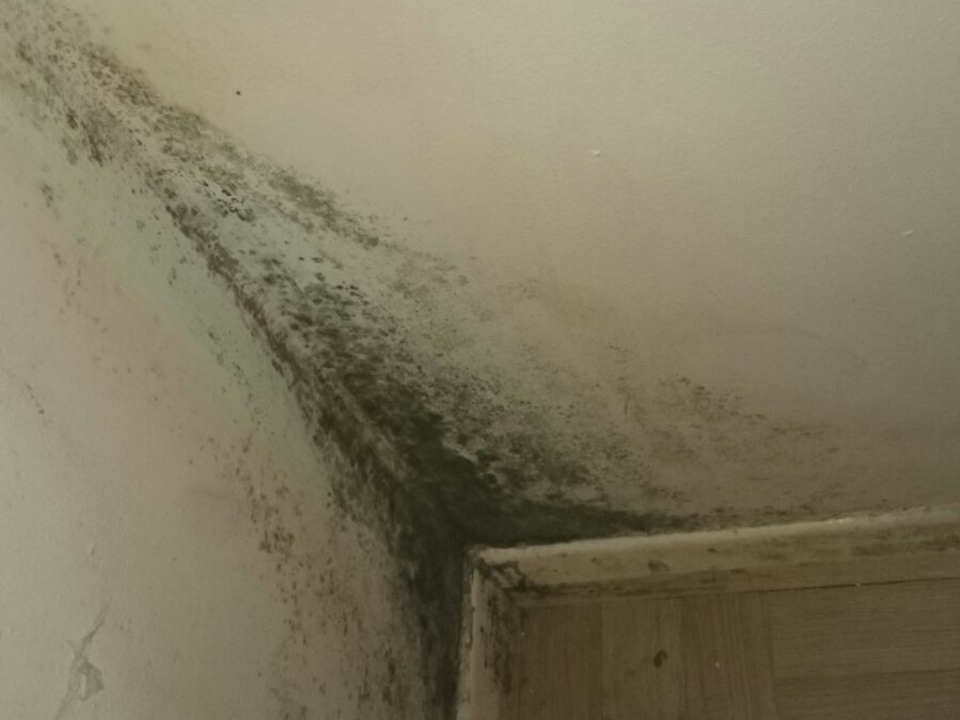 Waldocks Property Maintenance gallery image 1