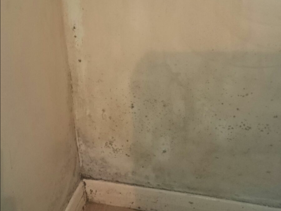 Waldocks Property Maintenance gallery image 2
