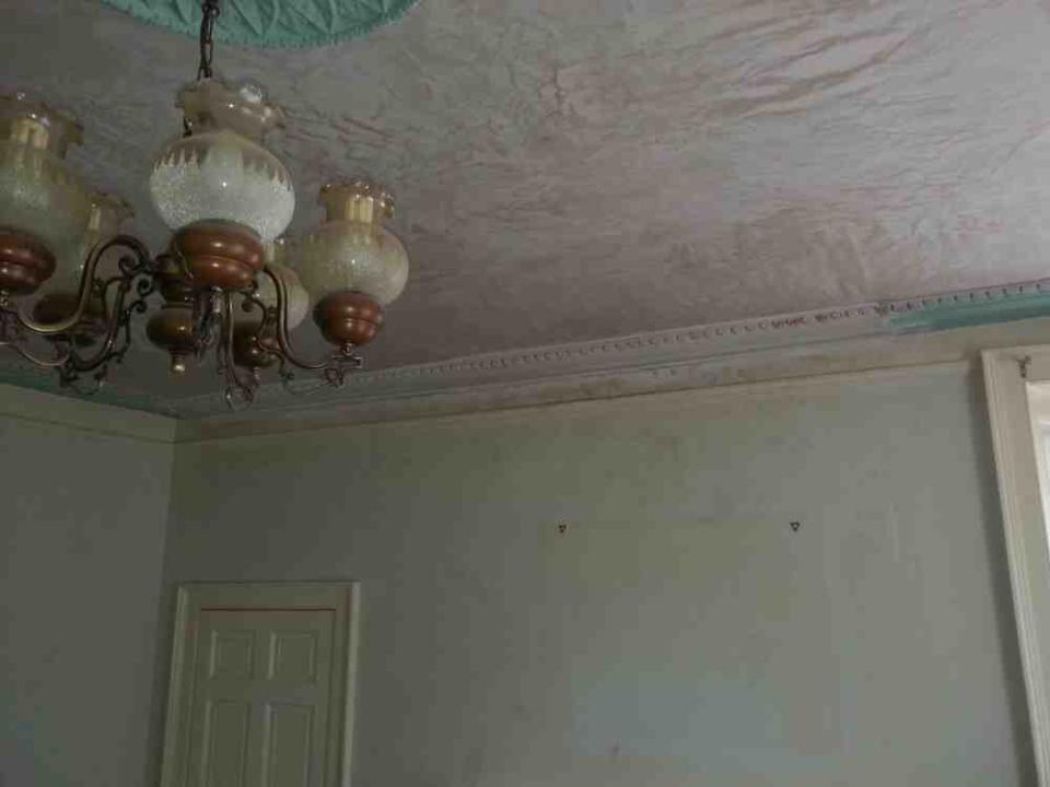 Plastercrafts & All Trades gallery image 4
