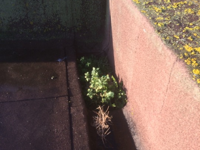 N jones driveways&property maintenance gallery image 4