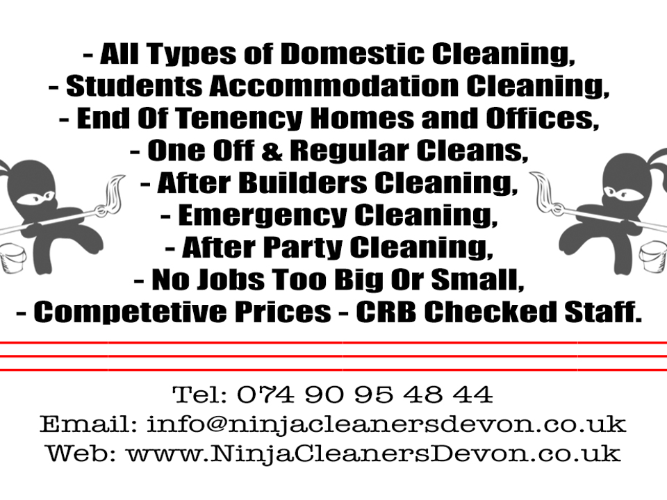 Ninja Cleaners Devon gallery image 1