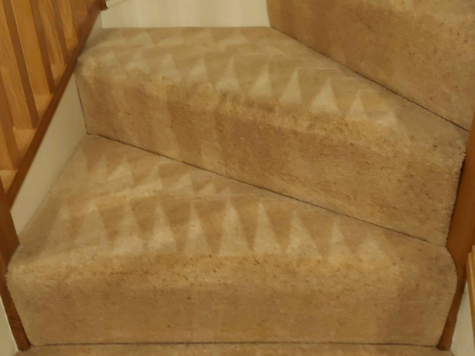 MD Carpet Cleaning gallery image 2