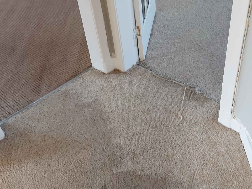 MD Carpet Cleaning gallery image 3