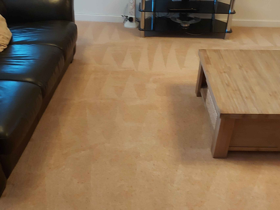 MD Carpet Cleaning gallery image 4