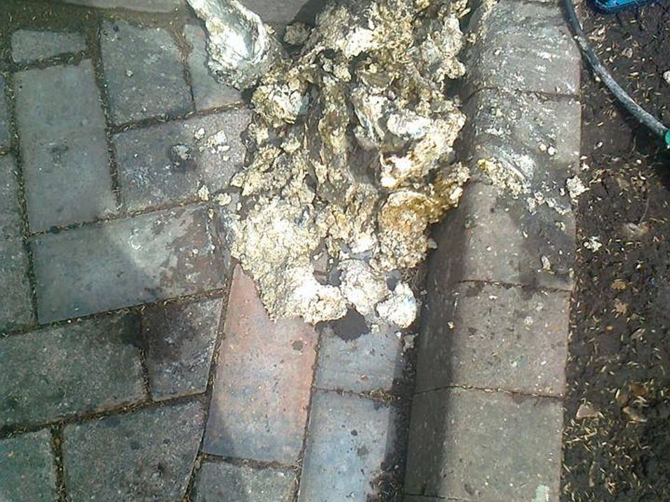 SCAN A DRAIN gallery image 3