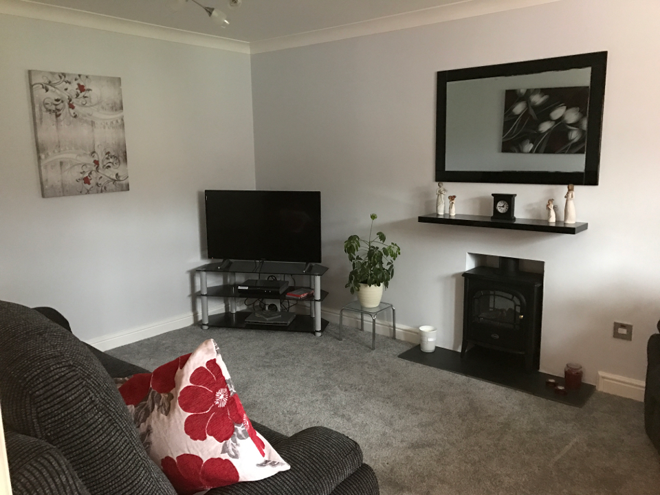 Paint Perfection gallery image 3