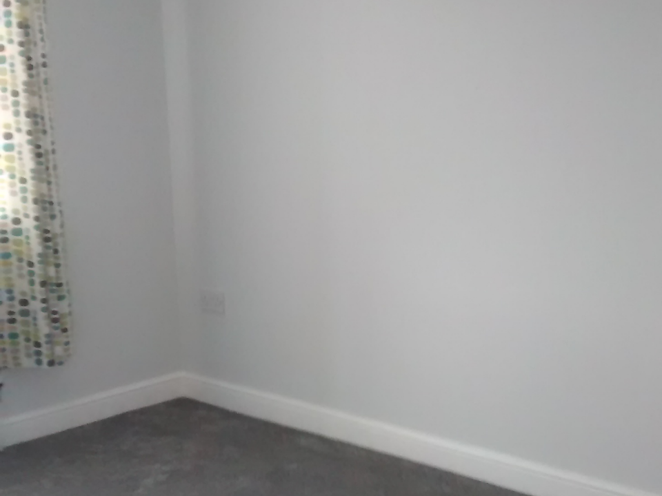 Dave Martin gallery image 4