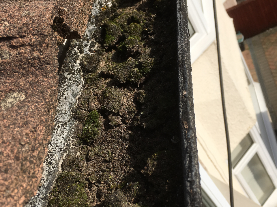 GB Window Cleaning gallery image 1