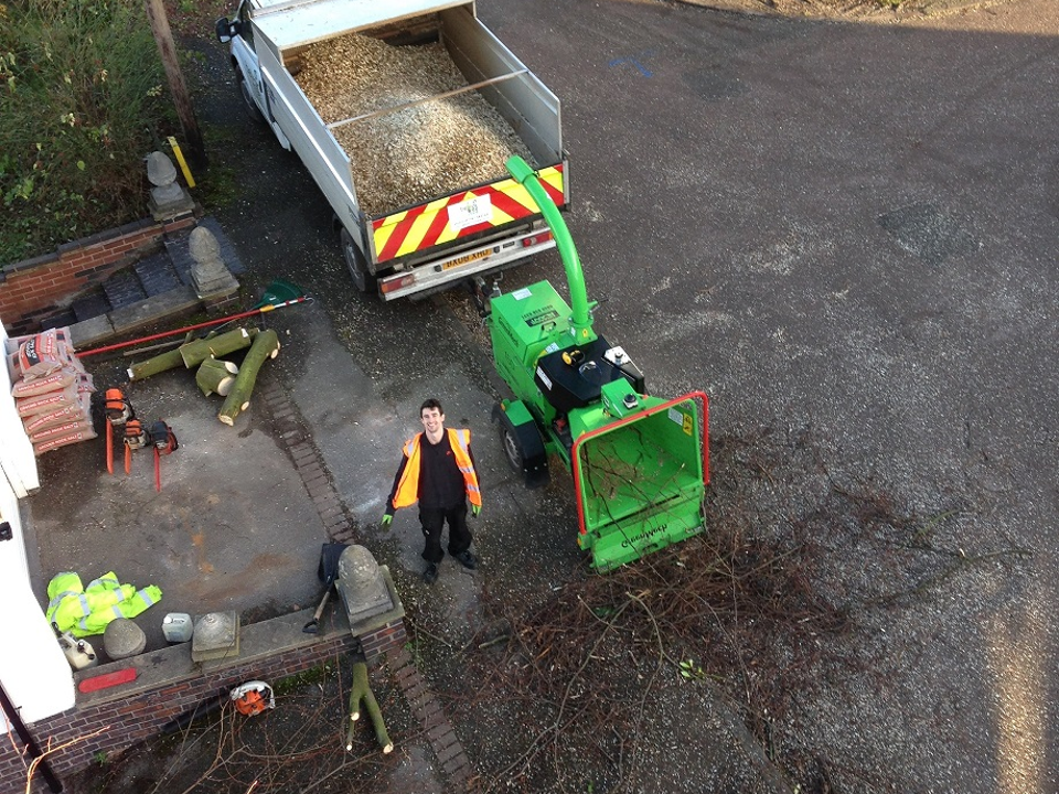 Belvoir Tree Care gallery image 1