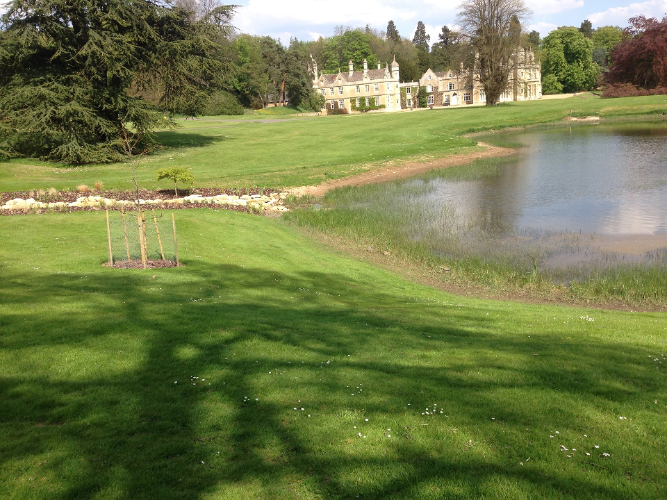 Belvoir Tree Care gallery image 2