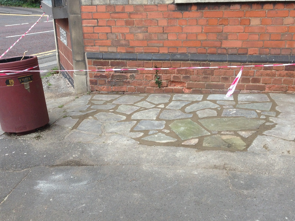 Belvoir Tree Care gallery image 3