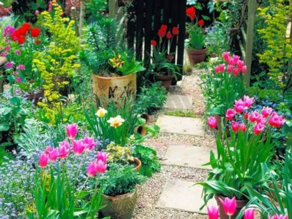 Garden Envy of Bath gallery image 4